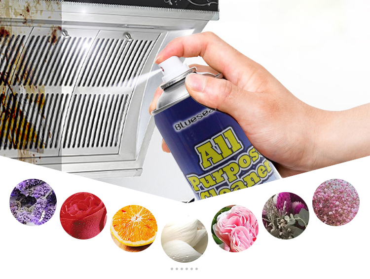 Multifunction Home Cleaning Spray Bottle Auto Glass Foam Cleaner
