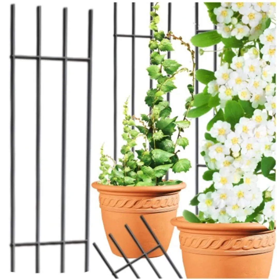 Garden Pergola Terrace for Roses Ladder Support Trench for Rose