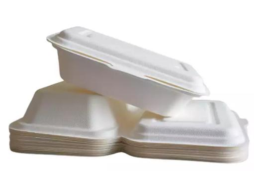 Biodegradable Takeaway Food Box Container Sugarcane Bagasse Hamburger Clamshell 8" 9"