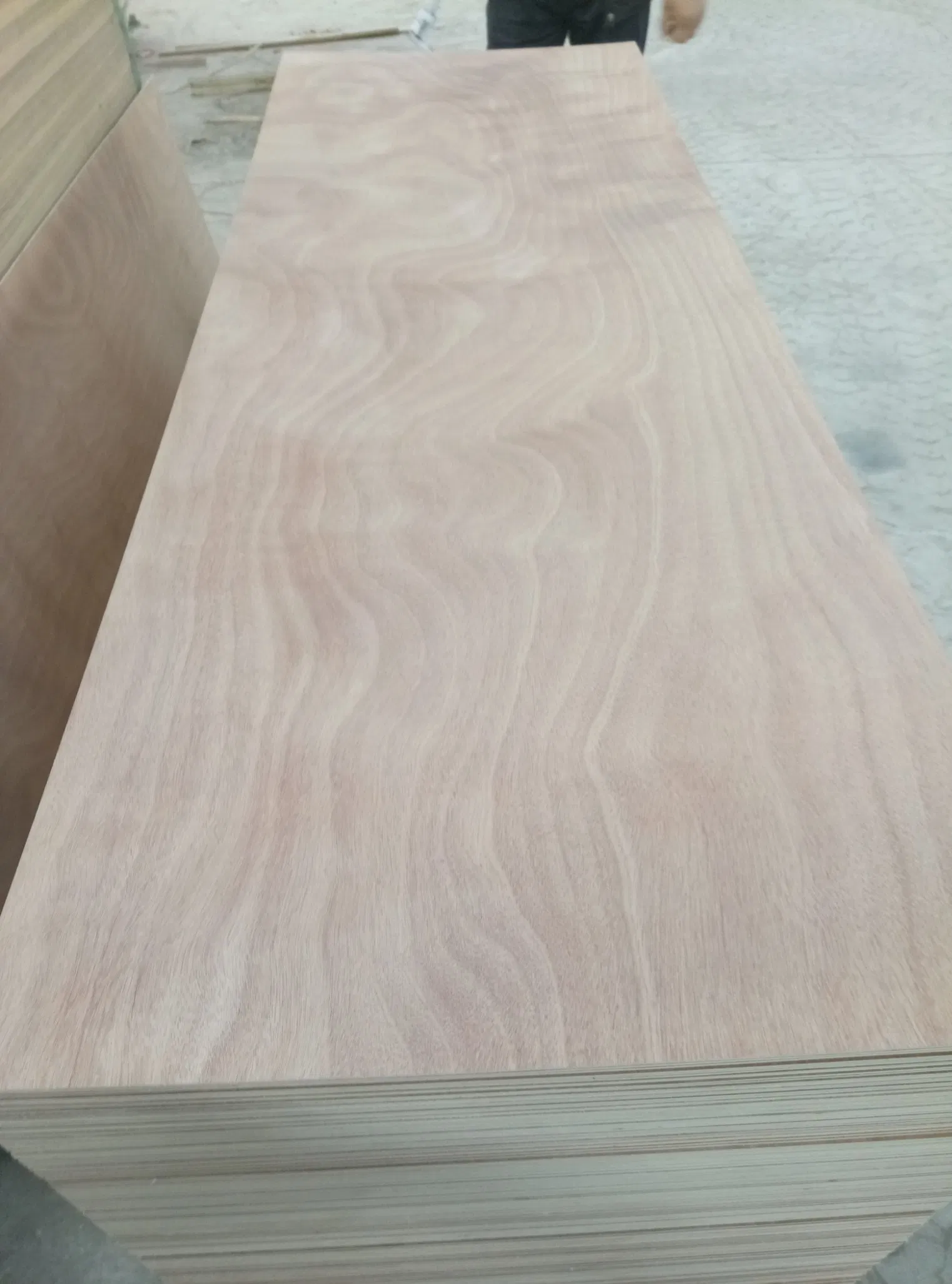 Bintangor Face Door Skin Plywood 2.7X810X2020mm Door Plywood