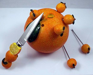 Fruit Knife and Fork (MP-1081)