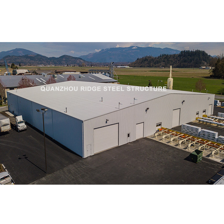 China Customized Designed Peb Steel Structural Shed Building