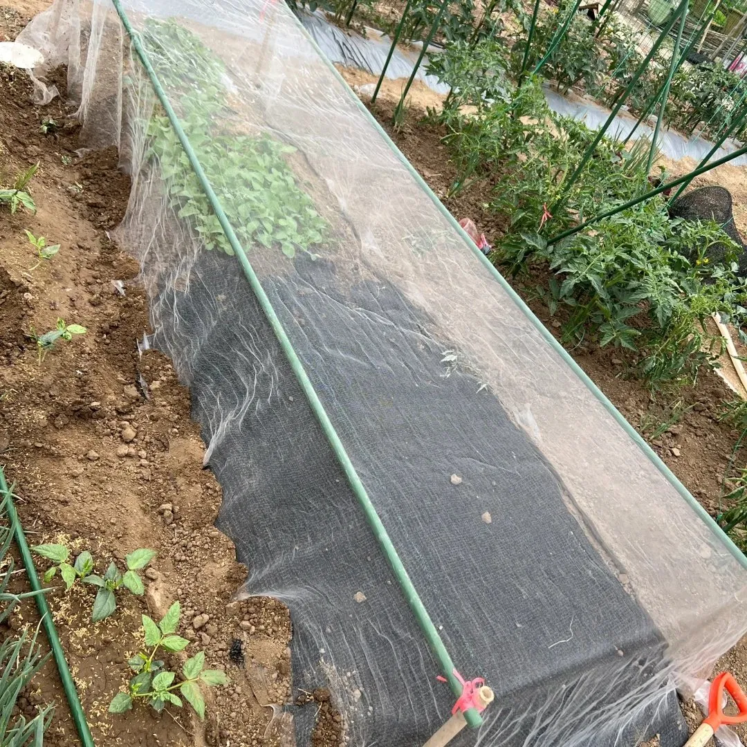 One-Stop Mosquito Net Supplier – Aluminum, Fiberglass, Stainless Steel