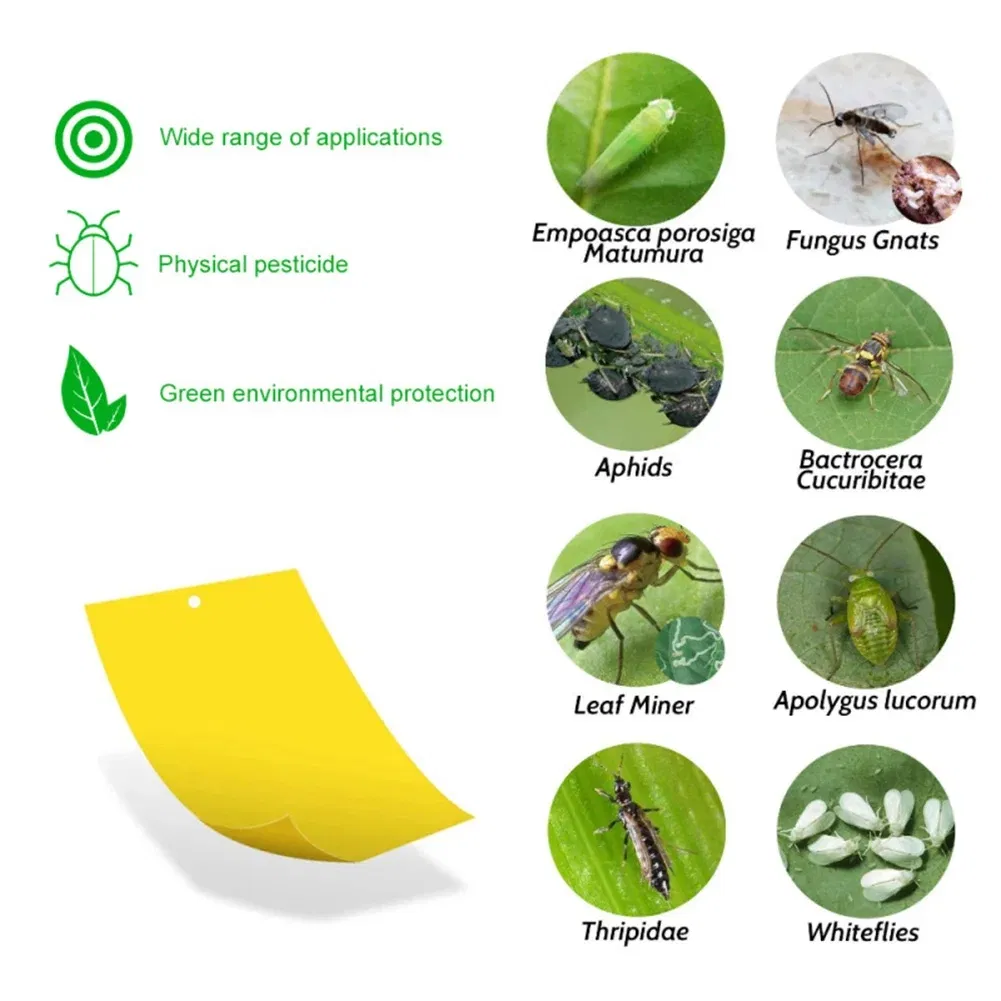 50PCS Aphid Insects Sticky Board Pest Killer Outdoor Indoor Strong Flies Traps Dual-Sided Whitefly Thrip Glue Sticker