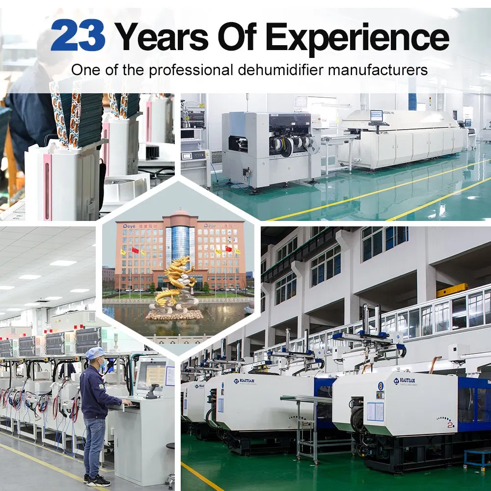 Factory Price Portable Adjustable Humidistat Home Dehumidifier