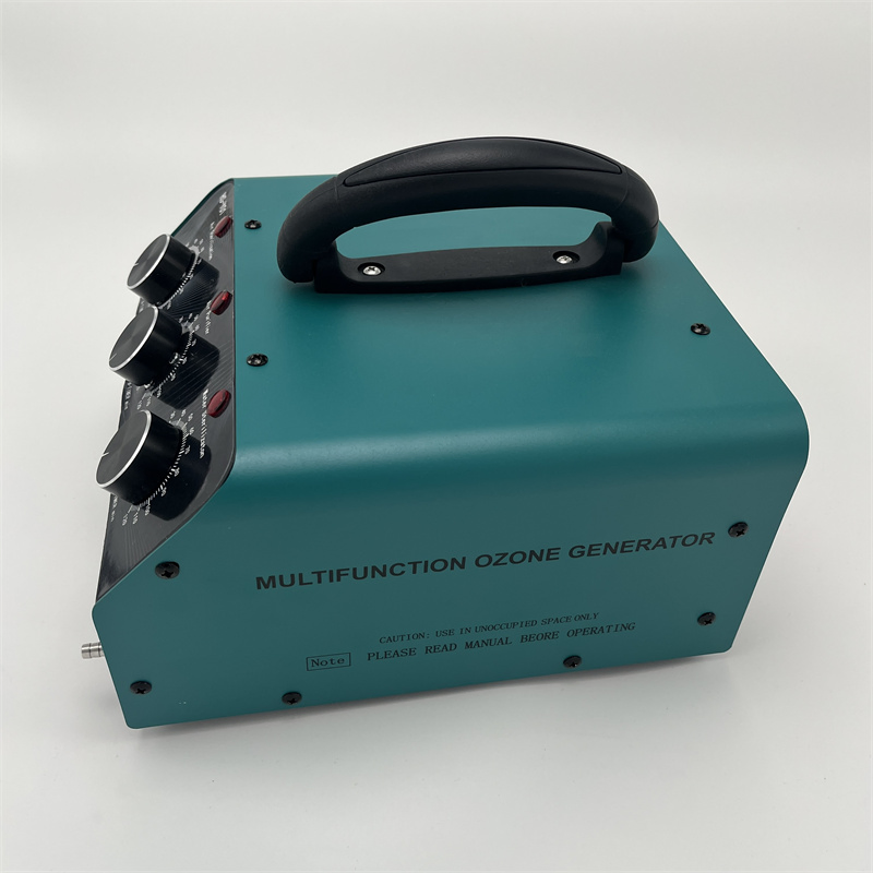 Home Treatment Air Purifier 10g Competent Manufacturer CE Portable Ozone Generator