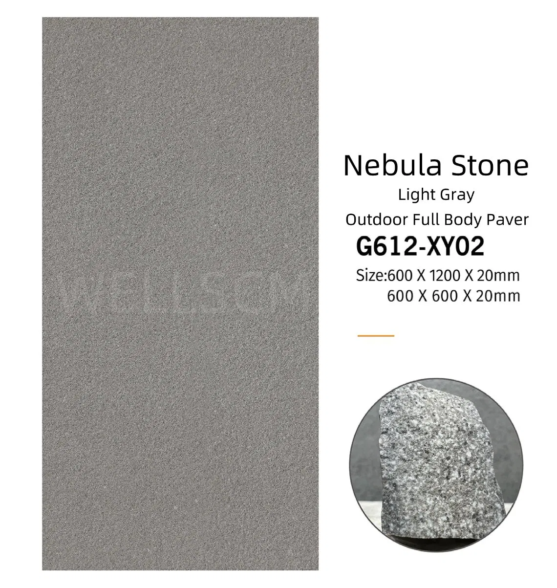 Modern Anti-Slip Outdoor Swimming Pool Tiles 20mm Full Body 600X1200 Size Matte Finish Porcelain Paver for Floors