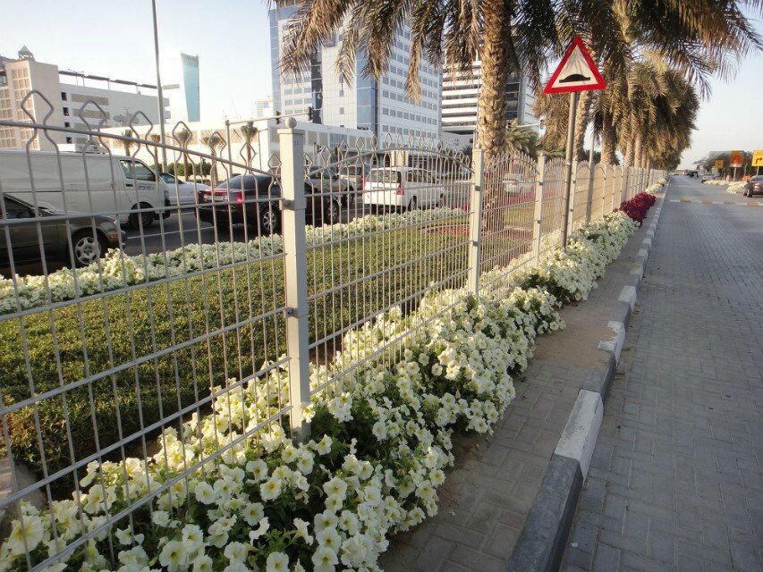 Garden/Farm/Playground/Swimming Pool Security Steel Iron Wire Mesh Fence