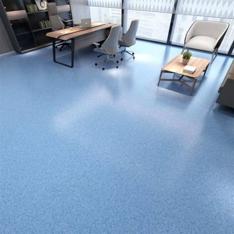 Waterproof Fireproof Hospital/Office/Kindergarten 2mm 2.5mm 3mm Thickness Commercial PVC Plastic Flooring