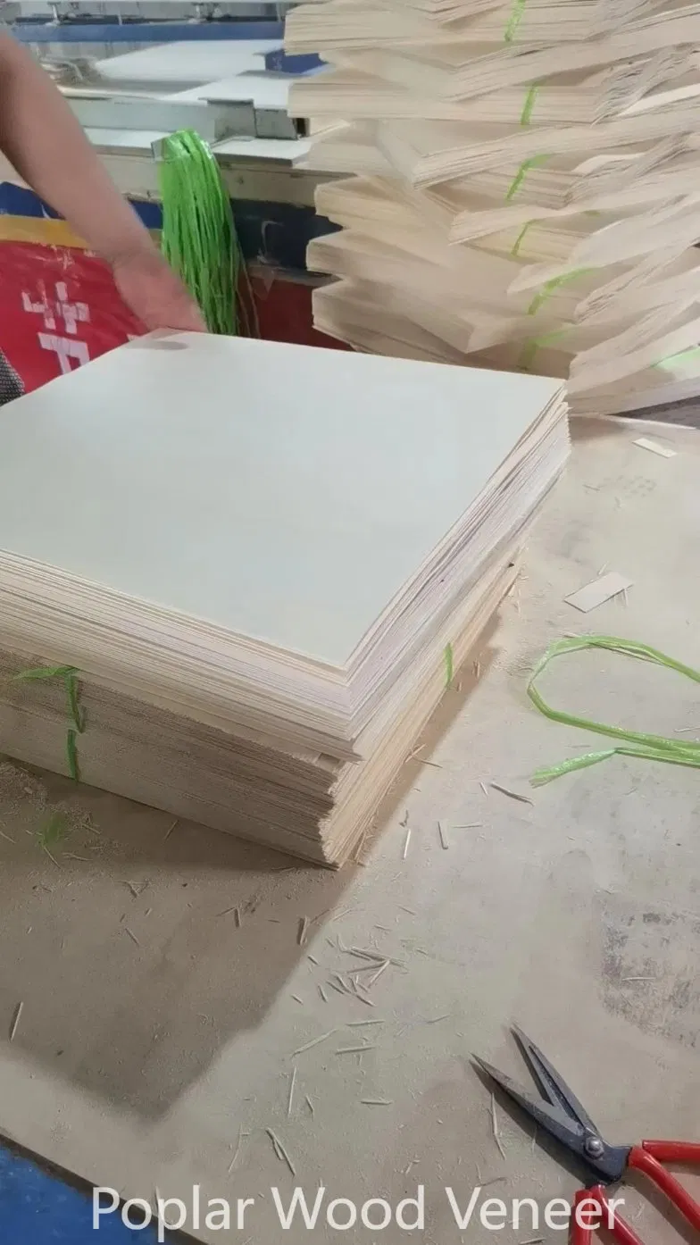 Rotary Cut Natural Veneer Wood Thickness 0.30mm Bleached Poplar Veneer