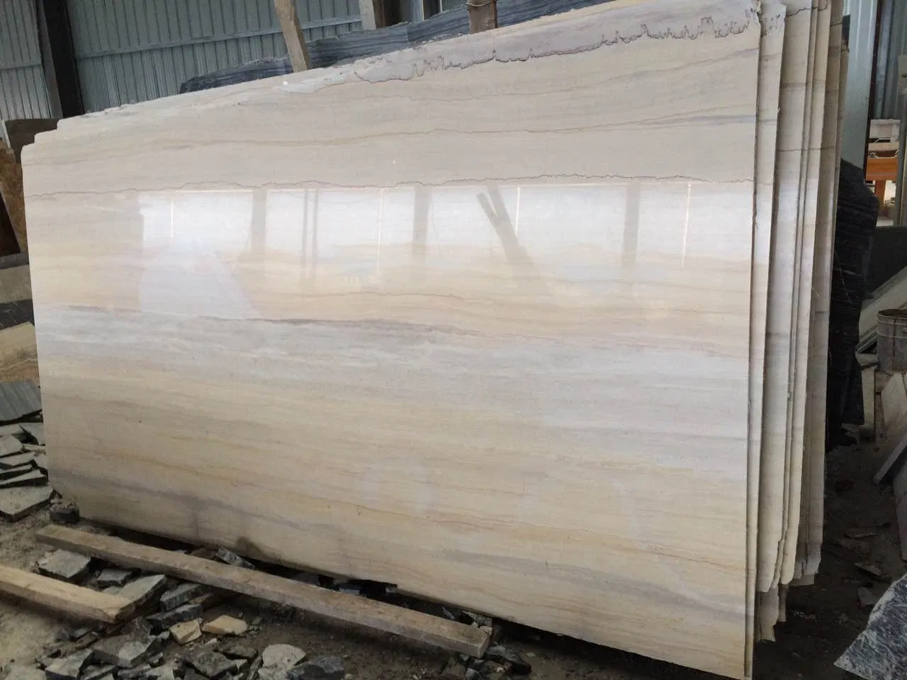 Popular Natural Ginkgo Wood Marble Slab and Tile for Hotel Wall Floor Decorate