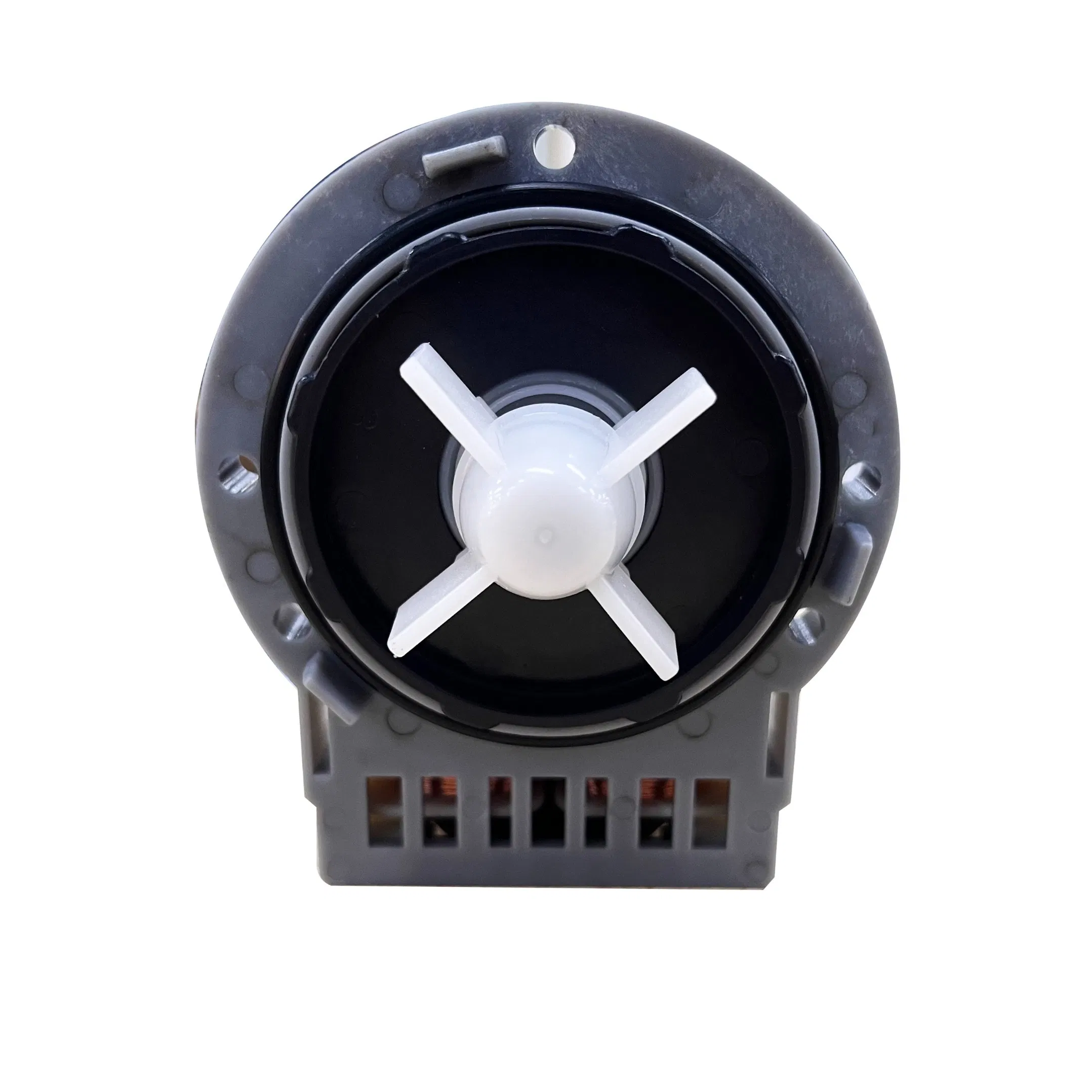 Ruijp AC Hot Sale Washing Machine Spare Part Askoll Drain Pump