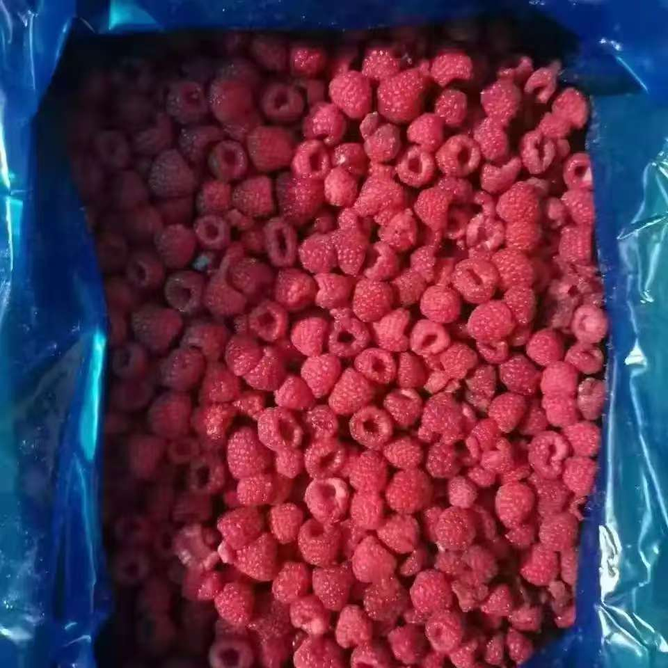 Wholesale of Frozen Fruit IQF Fruit Frozen Raspberry IQF Raspberry