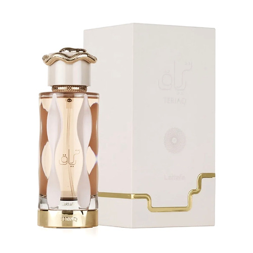 Wholesale Dubai Perfume High Quality 100ml Original Men Parfum