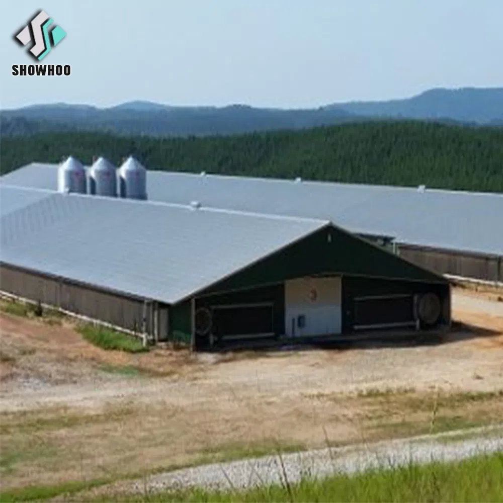 Chicken House Poultry Farming Broiler House Wall Seat Cheap Price Design Kenya