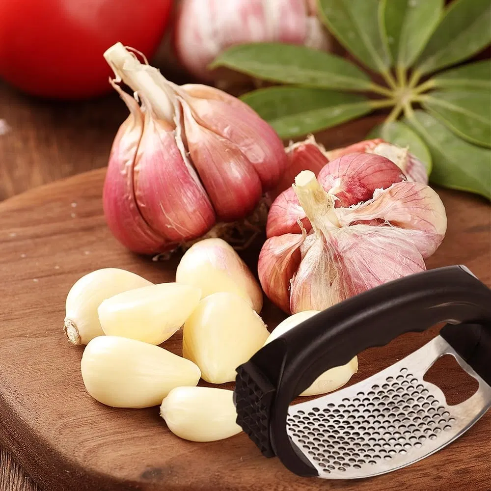 Stainless Steel Garlic Press Rocker Kitchen Garlic Presser