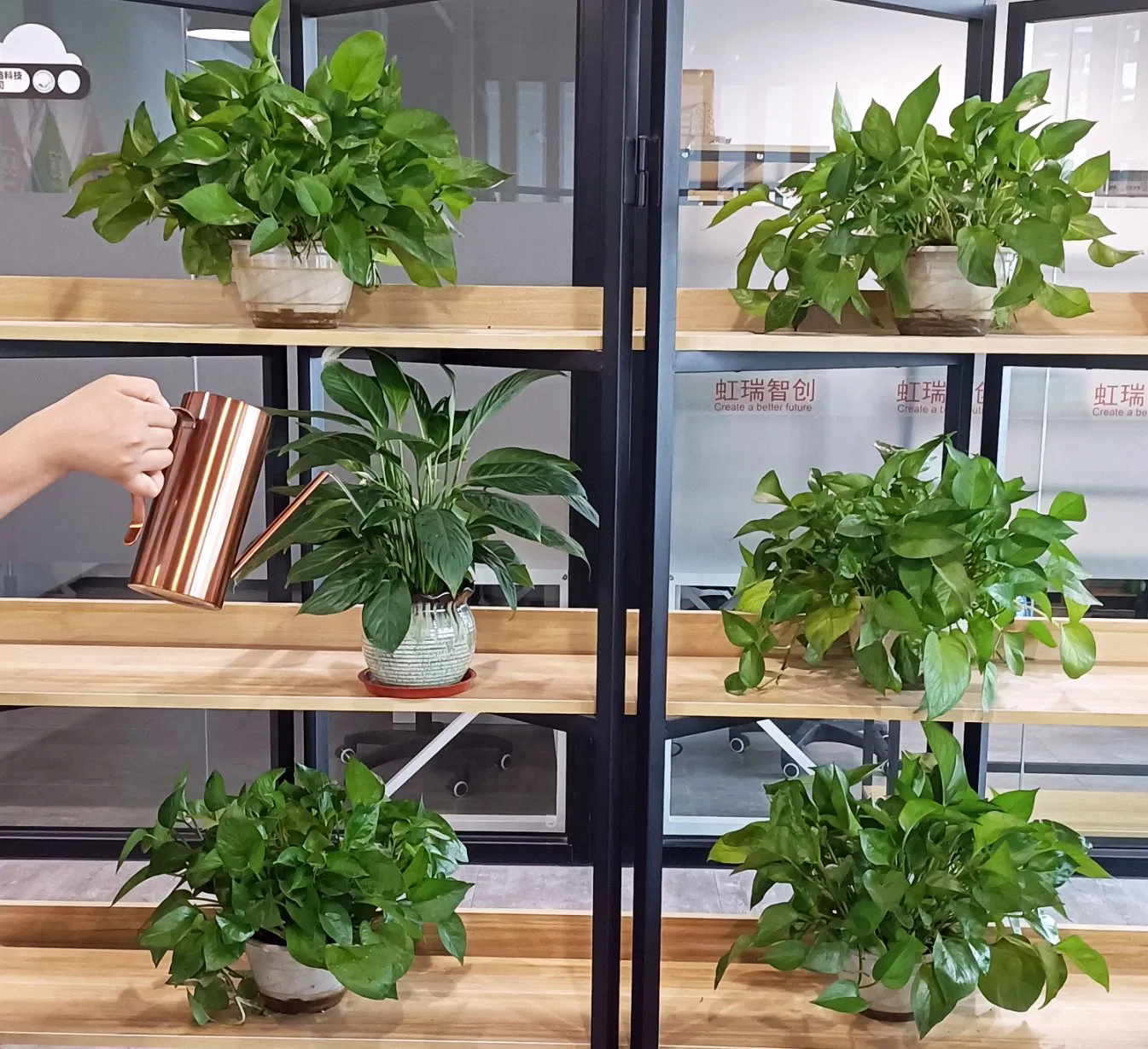 Hot Sales Hight Quality Low Price Indoor Outdoor Metal Garden SUS 304 Stainless Steel Watering Can for Plants Wholesale