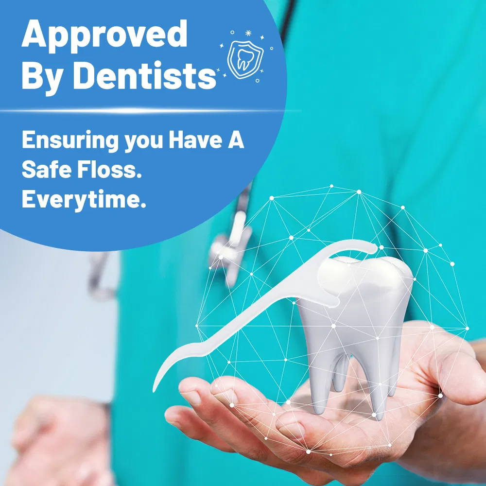 Bulk Biodegradable Personalized Eco Friendly Flosser Vegan Silk Tooth Nylon Dental Floss Pick