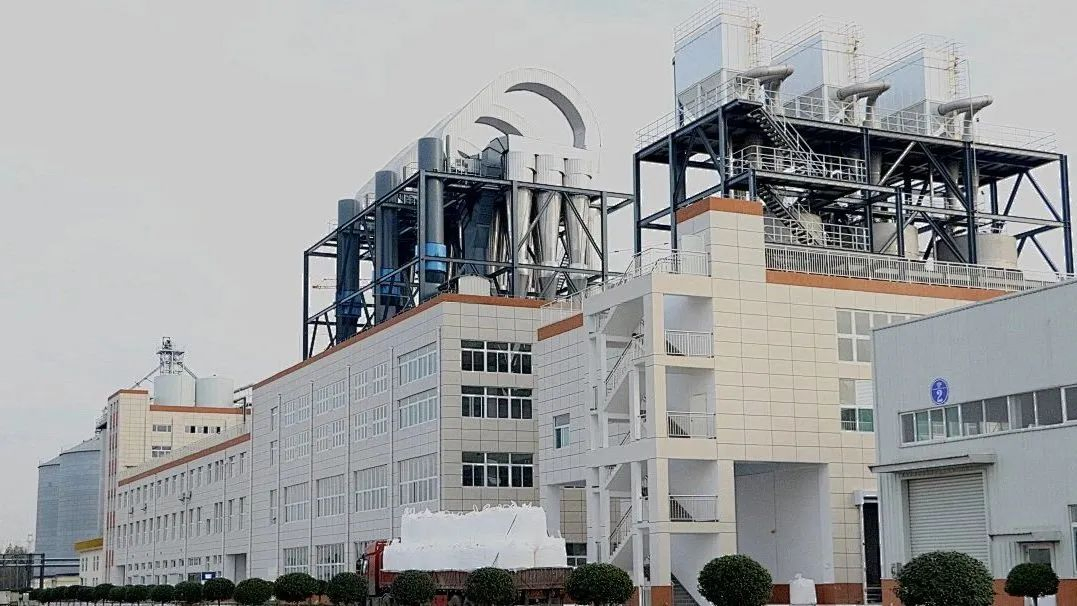 Fuyang Food Grade and Industrial Grade Sodium Gluconate CAS527-07-1 for Construction Chemicals