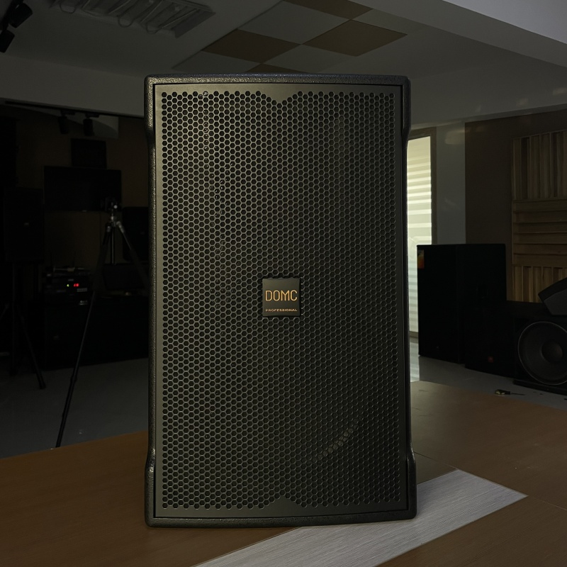 Powerful 10-Inch Domc K210 Speaker, 300W AES, 1200W Peak