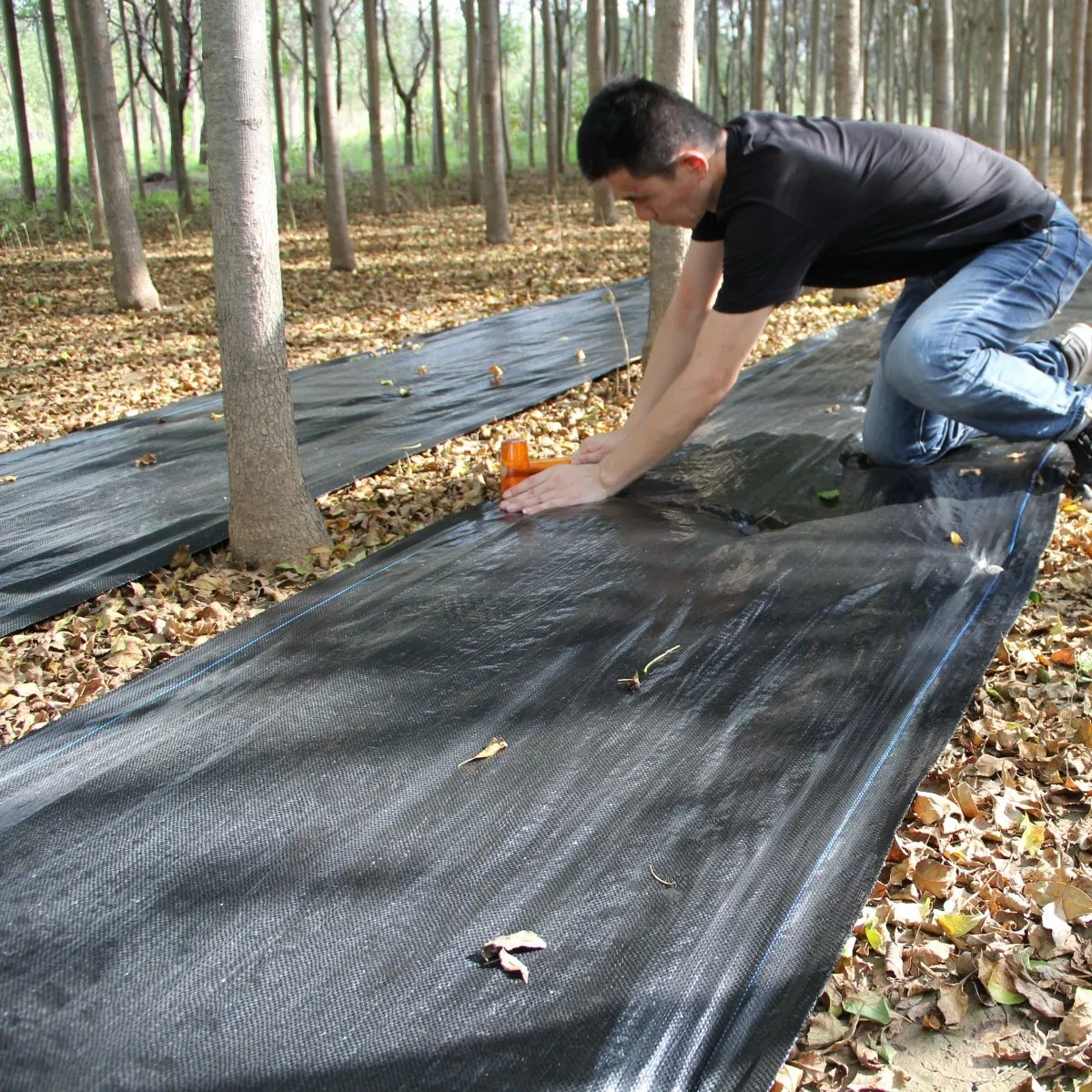 PP/PE Woven Landscaping Fabric Weed Barrier for Garden