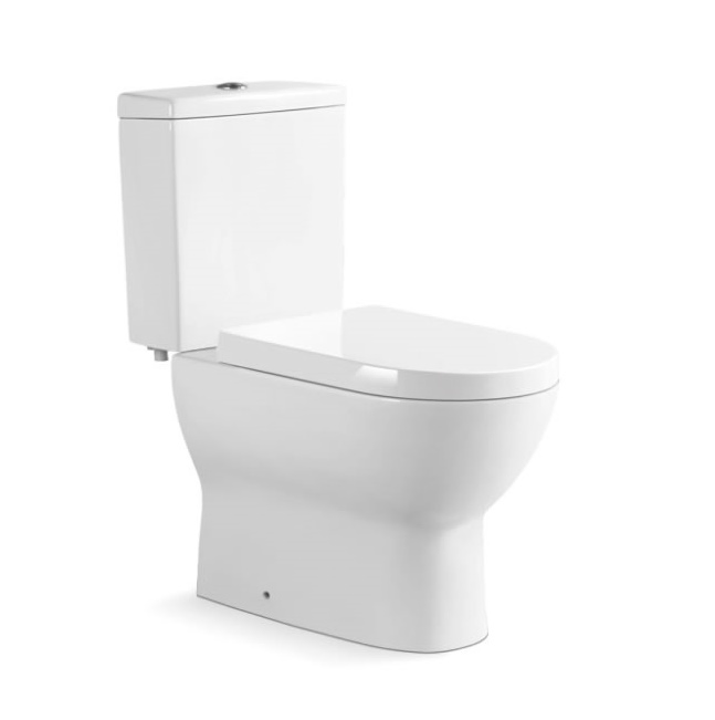 891 Washdown Two Piece Toilet with S Trap 250mm or P Trap 180mm
