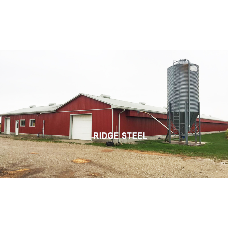 Ready Made China Prefabricated Shed Material/ Large Self Storage Shed Steel Building