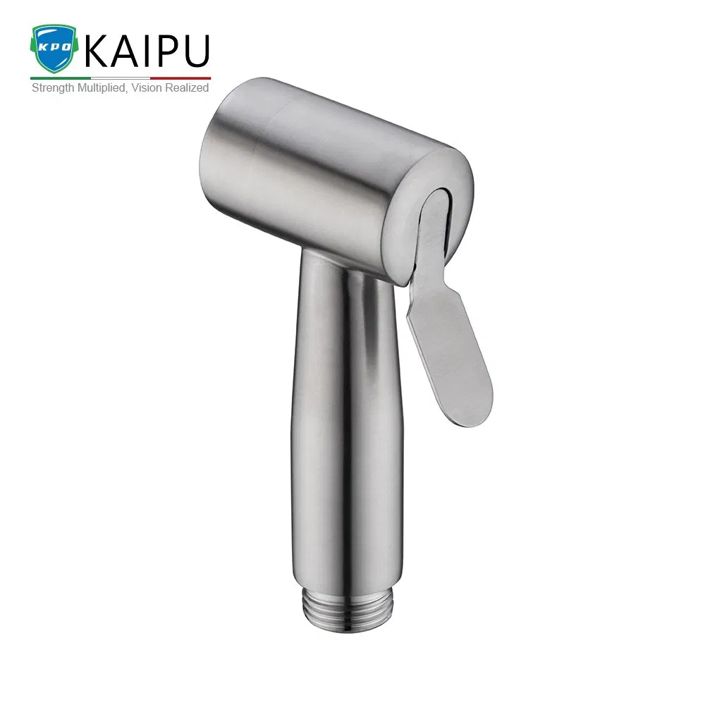 Stainless Steel Sprayer Gun Shattaf Kit for Toilet