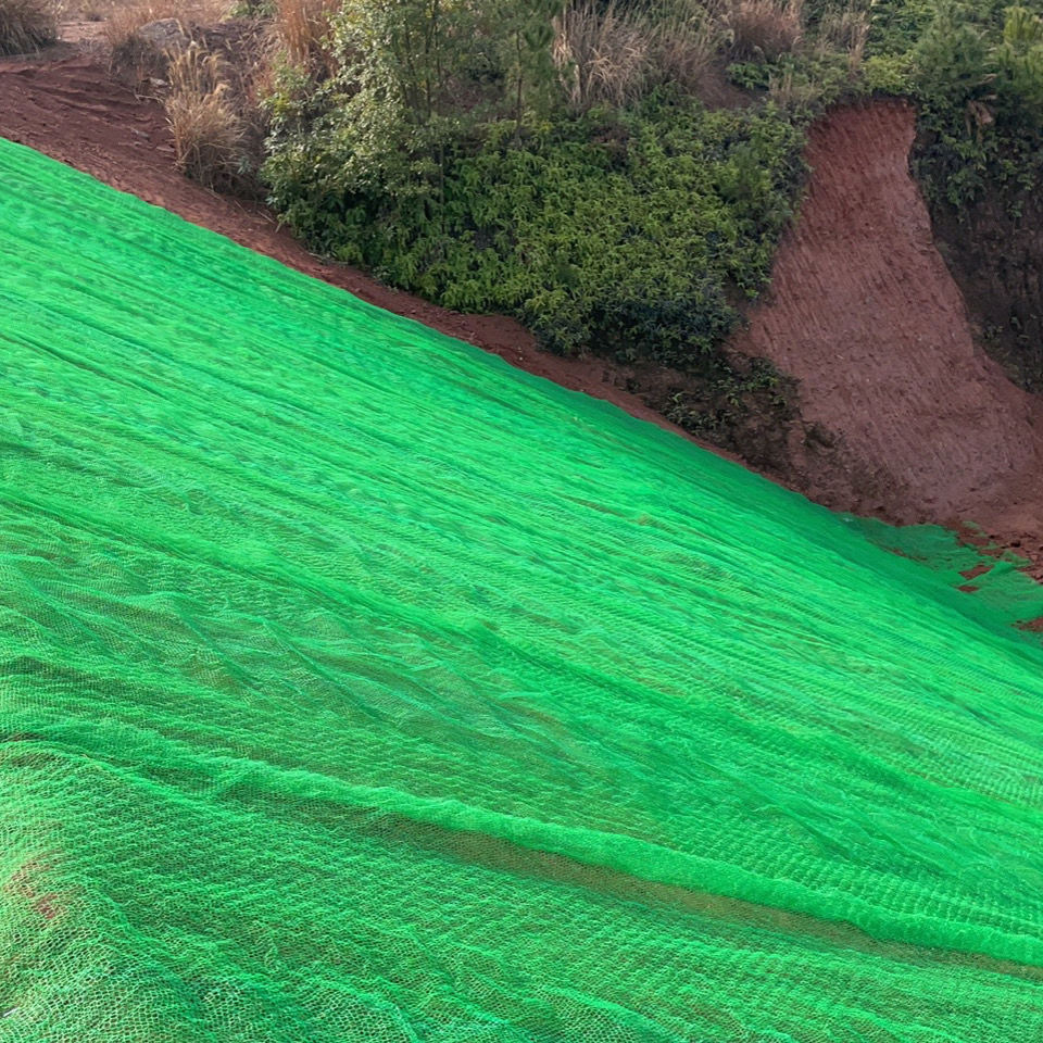Composite Vegetation Net Heavy-Duty for Slope Protection Greening Quality Assurance