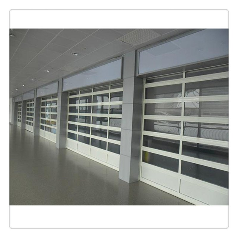 Elegant Custom Electric Glass Garage Doors for Modern Villas