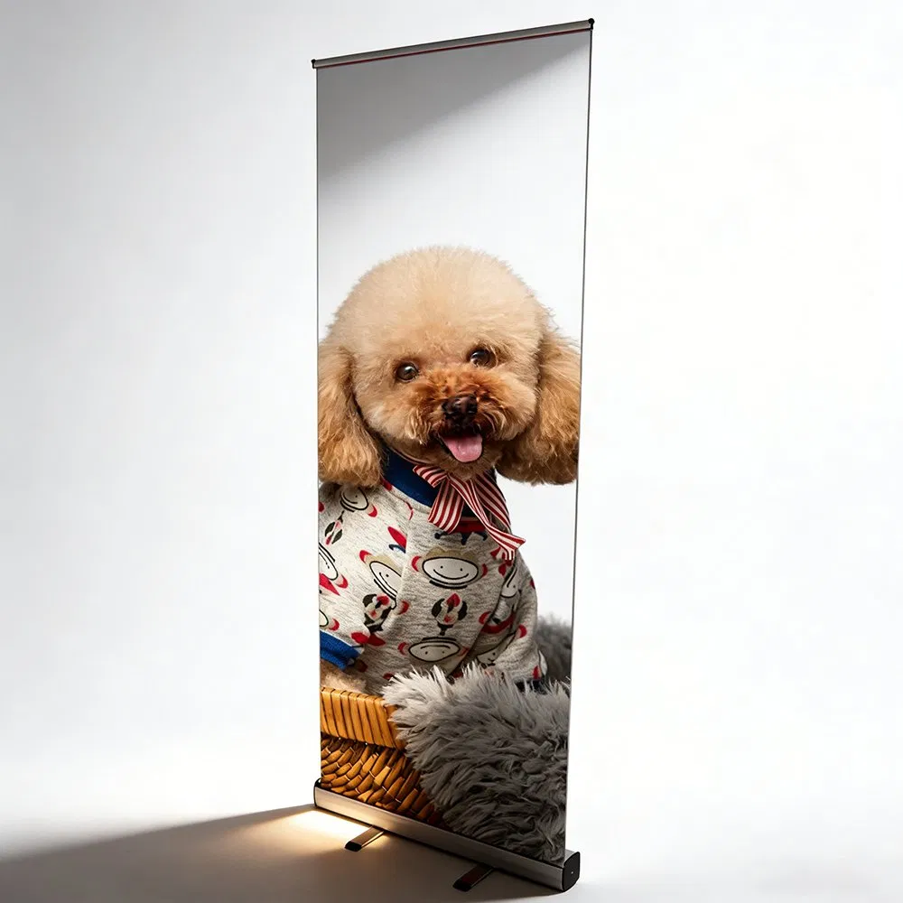 Aluminum Indoor Tianlang Handbag Durable Roll up Custom Roll-up Banner