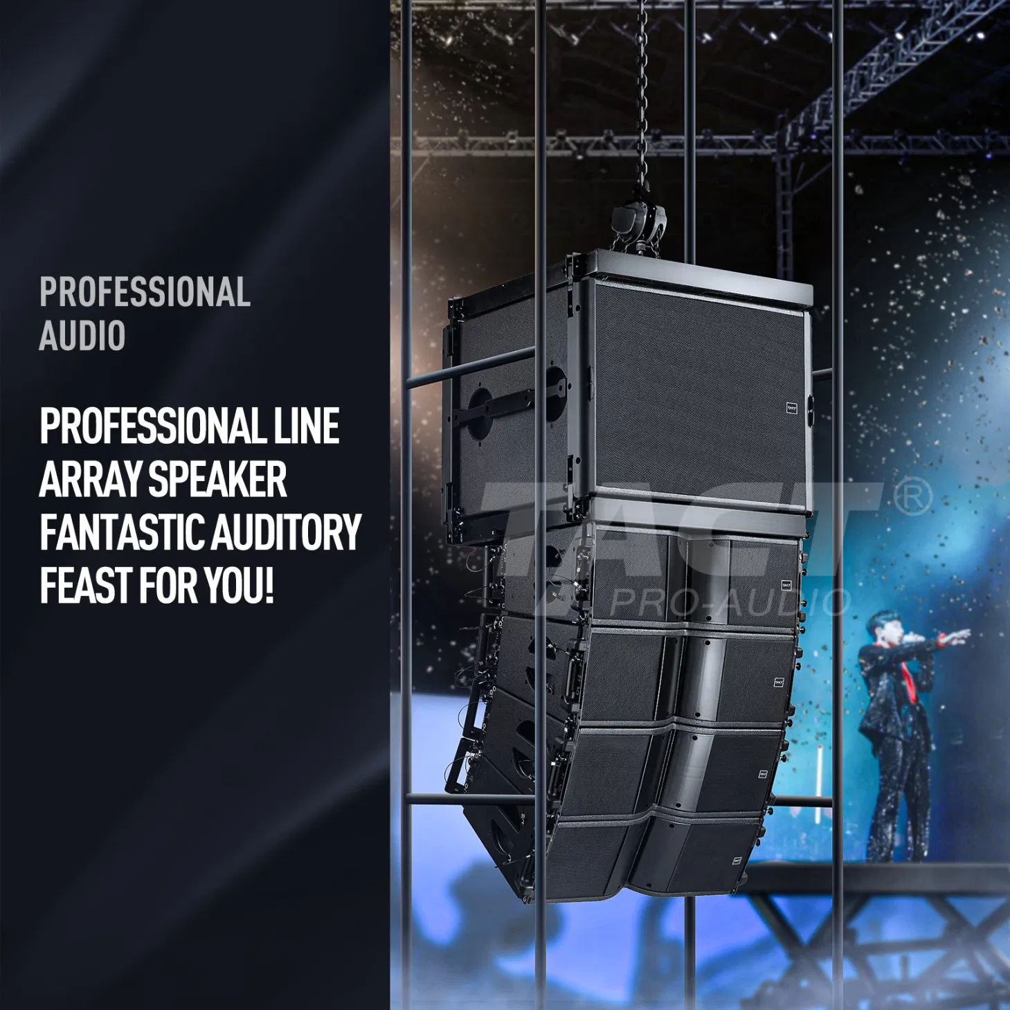 Tact Audio La210 PRO Speaker System Line Array for Church