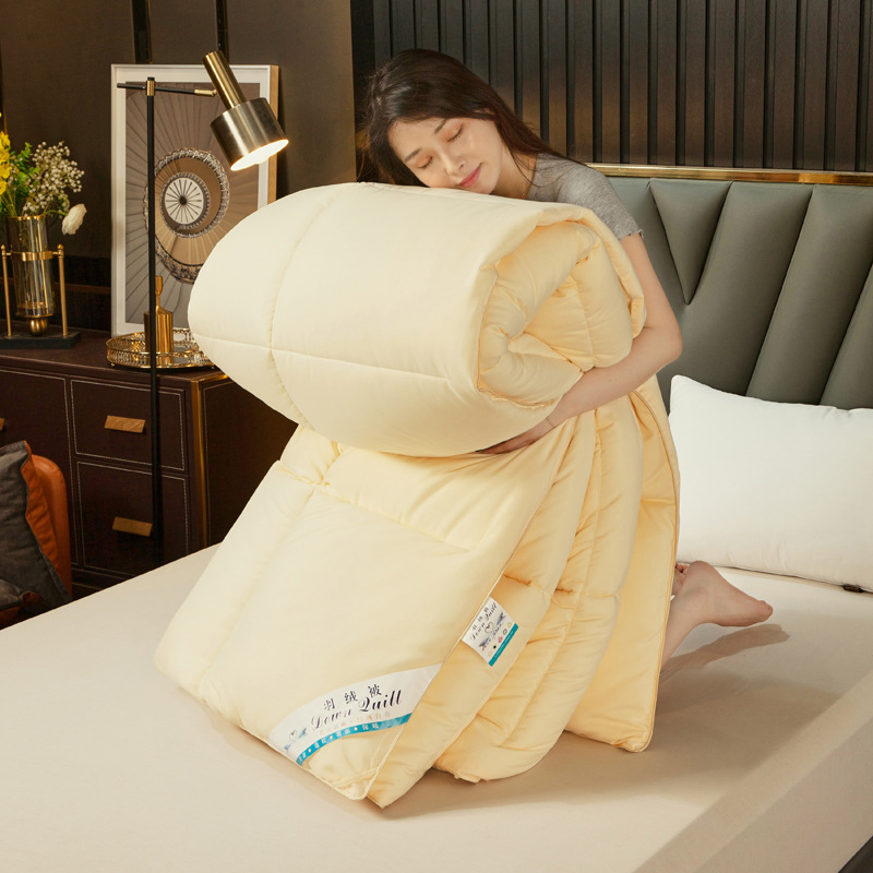 2024 New 95 White Goose Down Winter All Coton Thickened Soft Simple Duvet