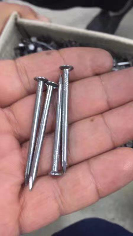 2 Inch -5 Inch Common Nails/Polished Common Nails