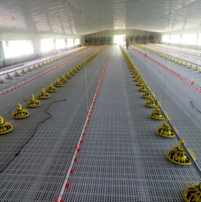 Rust-Resistant Steel Poultry House with Ventilation, Equipped with Automatic Water and Feed Systems, Suitable for Broiler and Layer Chicken Farming.