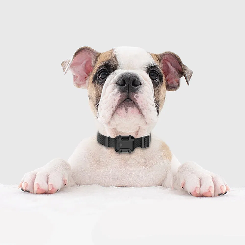 Водонепроницаемый GPS-трекер для животных, умный браслет