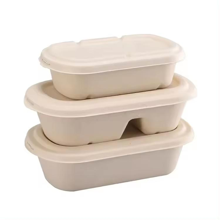 Sugarcane Fiber Container Disposable Biodegradable Paper Takeaway Box with Lid