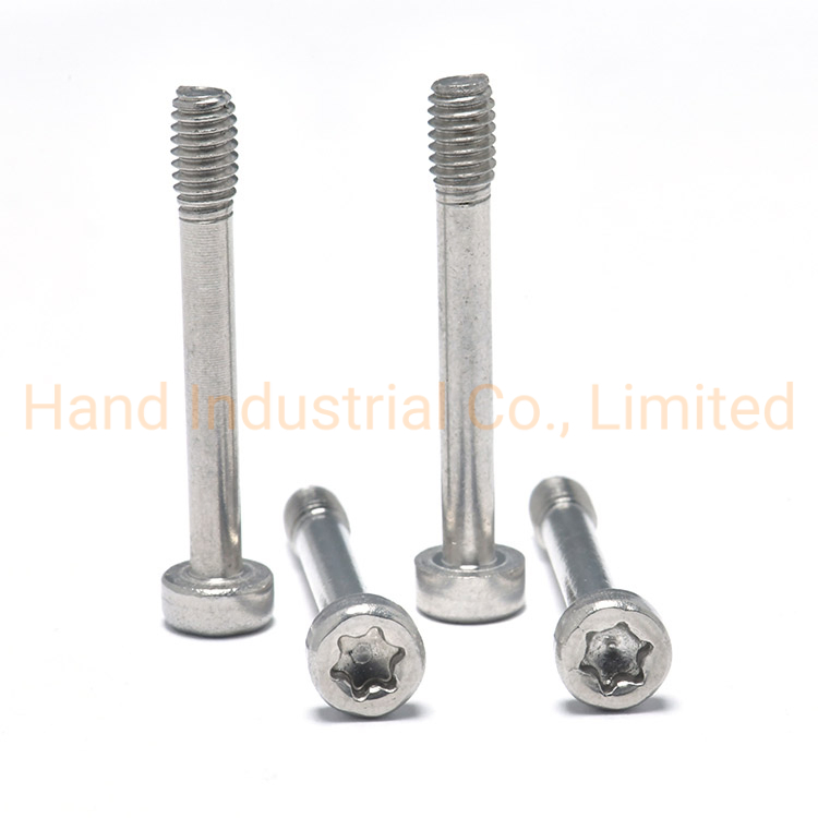 Factory Direct Sale Stainless Steel 304 / 316 Torx Pan Head Captive Screws