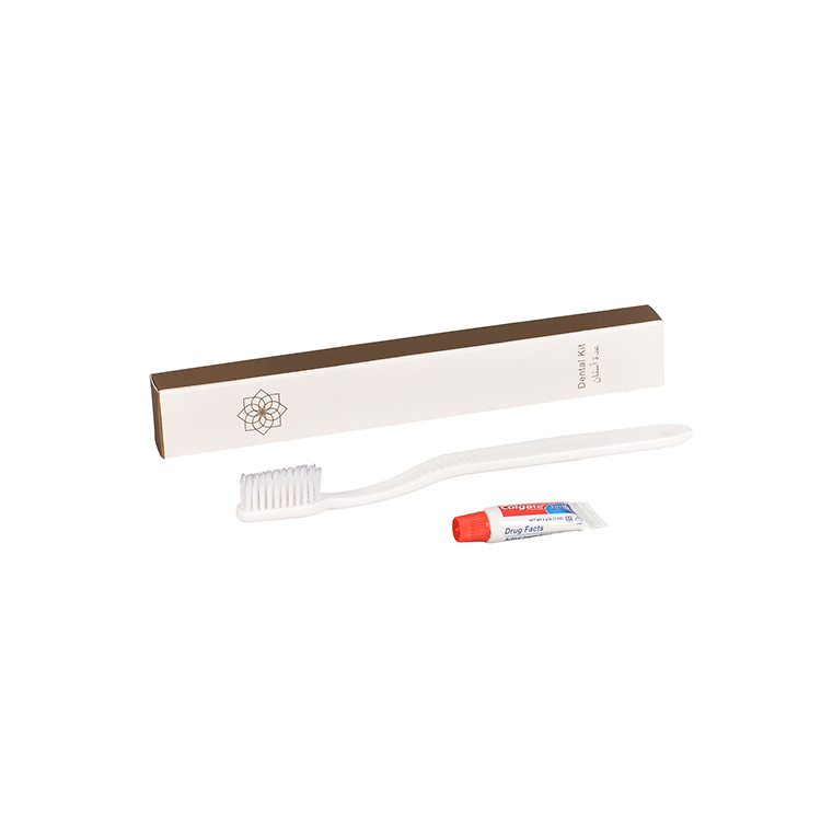 Various Types of Disposable Hotel Amenities Supply
