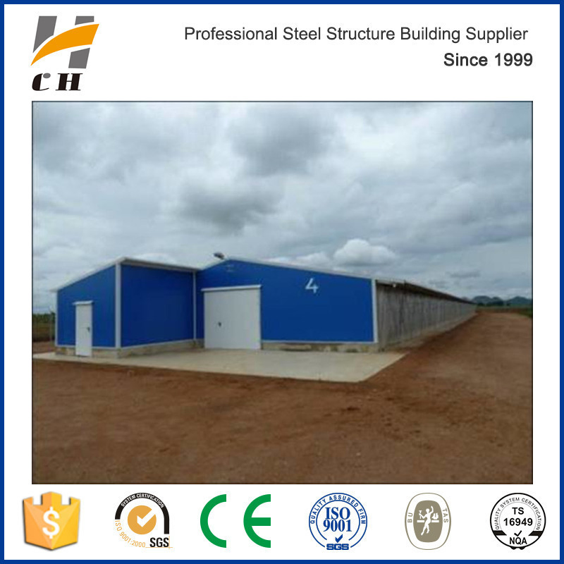 China Suppilers Professional Closed Type Environmental Controlled Poultry Farming Shed