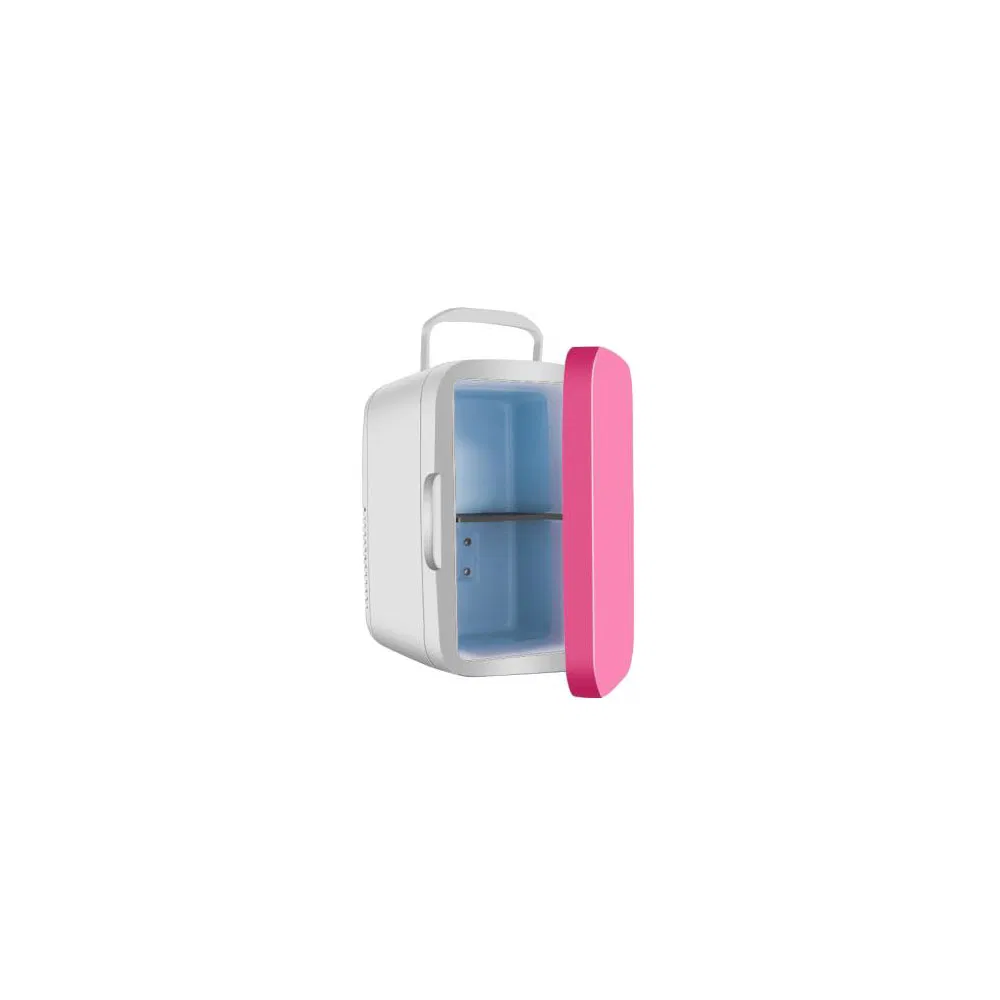 Hot Selling Mini Portable Auto Fridge Great Foods Electric Power Outdoor Travel