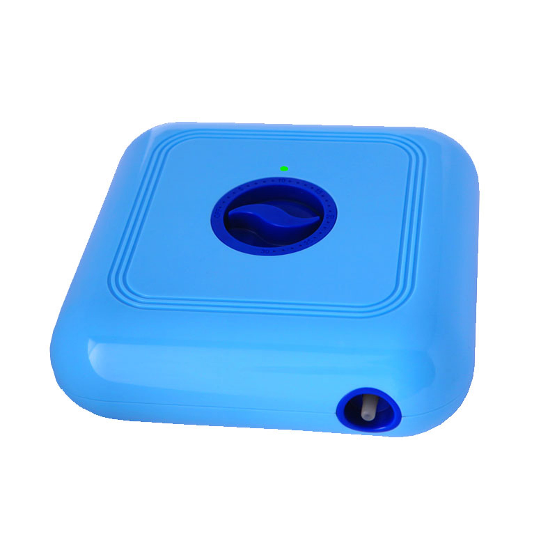 Portable 300mg/H Ozone Generator Air Water Purifier for Fruit Vegetables