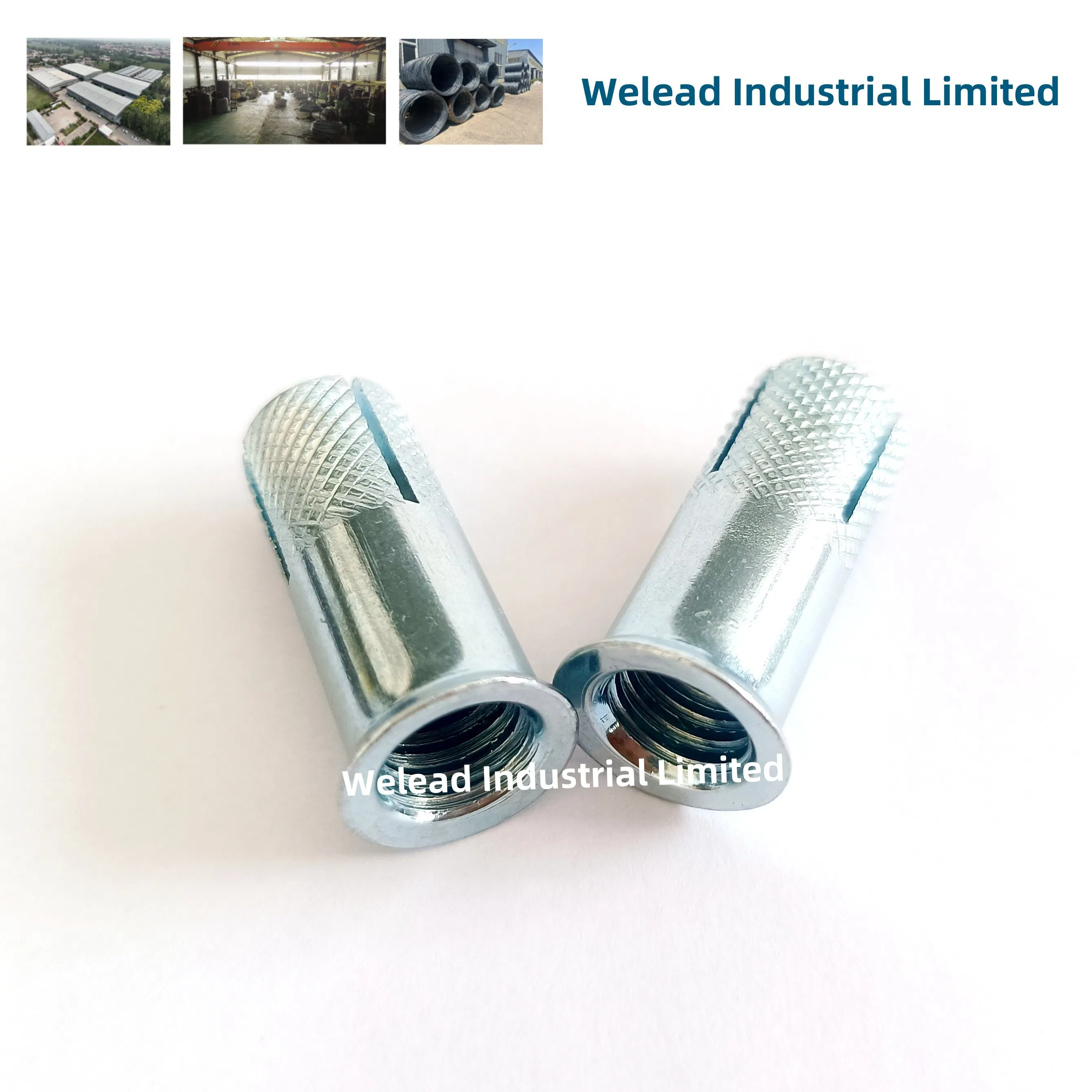 3/8" Flange Lipped Lipped Drop in Anchor Female Concrete Expansion Fastener Threaded Nut Collar Grip Anchor Bsw China Factory Exporter