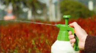 Garder Use Watering Hand Sprayer with Ce and ISO
