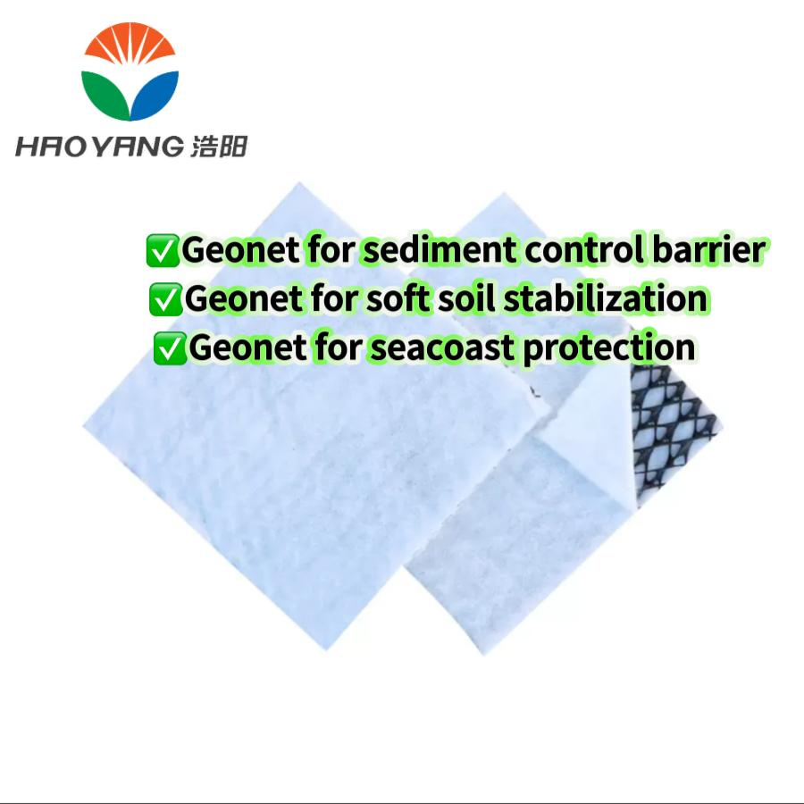 HDPE Premium Geonet for Erosion Control and Soil Stabilization Solutions