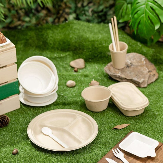 Custom Logo New Years Round 10 Inch Set Party Birthday Biodegradable Disposable Paper Plate