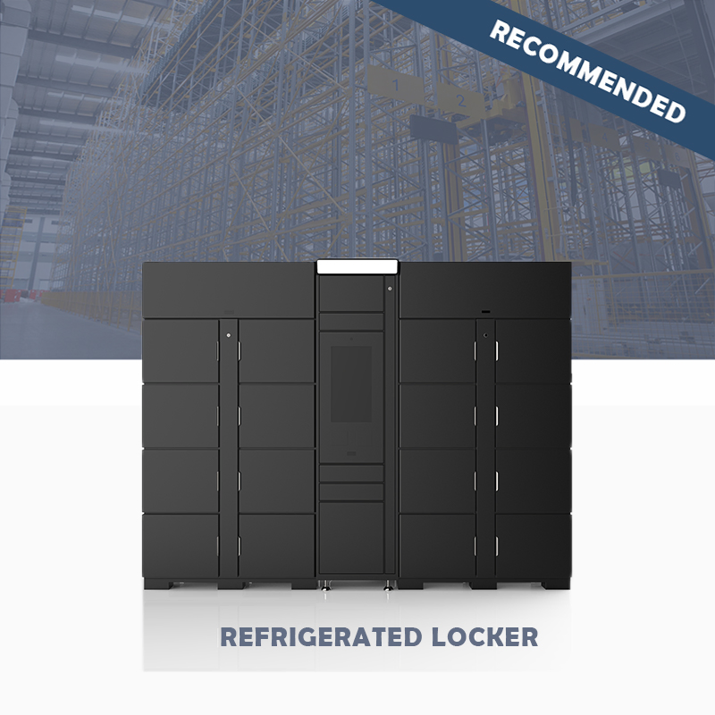 Heavy-Duty Outdoor Refrigerator Locker for Food Storage Solutions