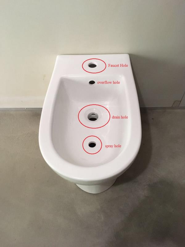 8201 White Bidet with Water Spray