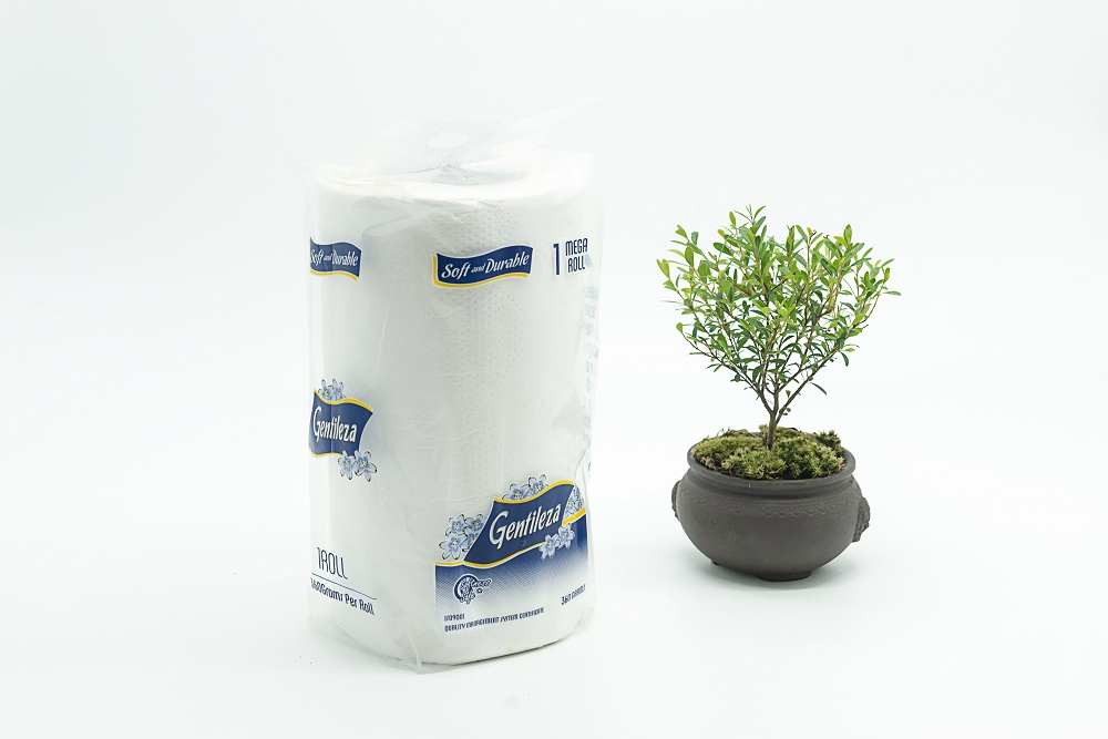 Soft High Quality Strong Durable Big Roll Individual Packing Kitchen Paper Towel