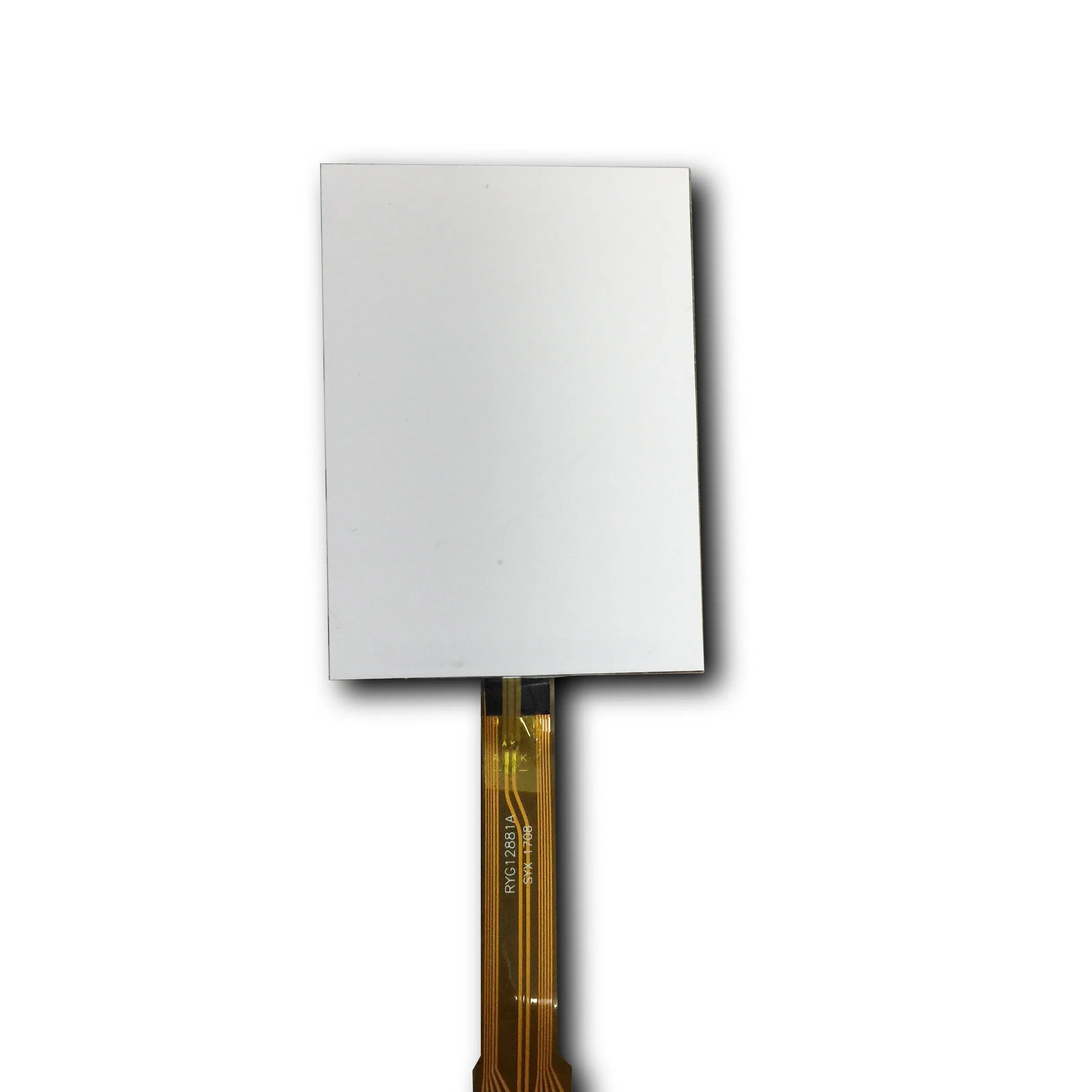 ЖК-дисплей графический FSTN 160x100, сегментный, с подсветкой